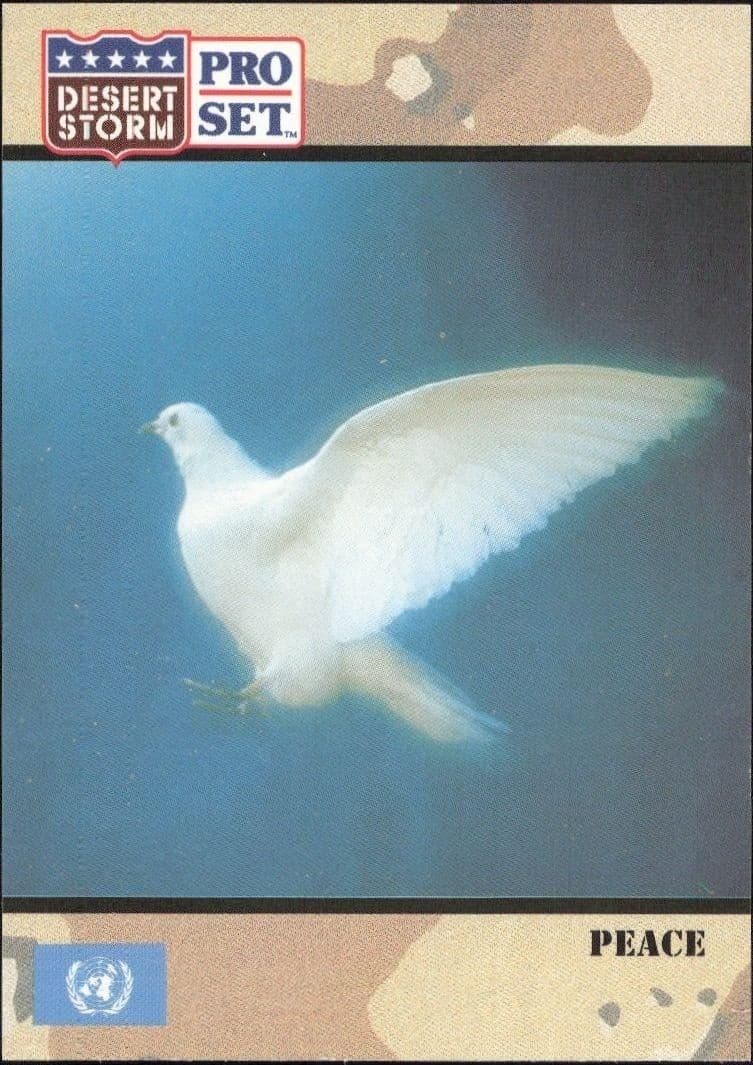 1991 Pro Set Desert Storm Peace #250 military trading card front