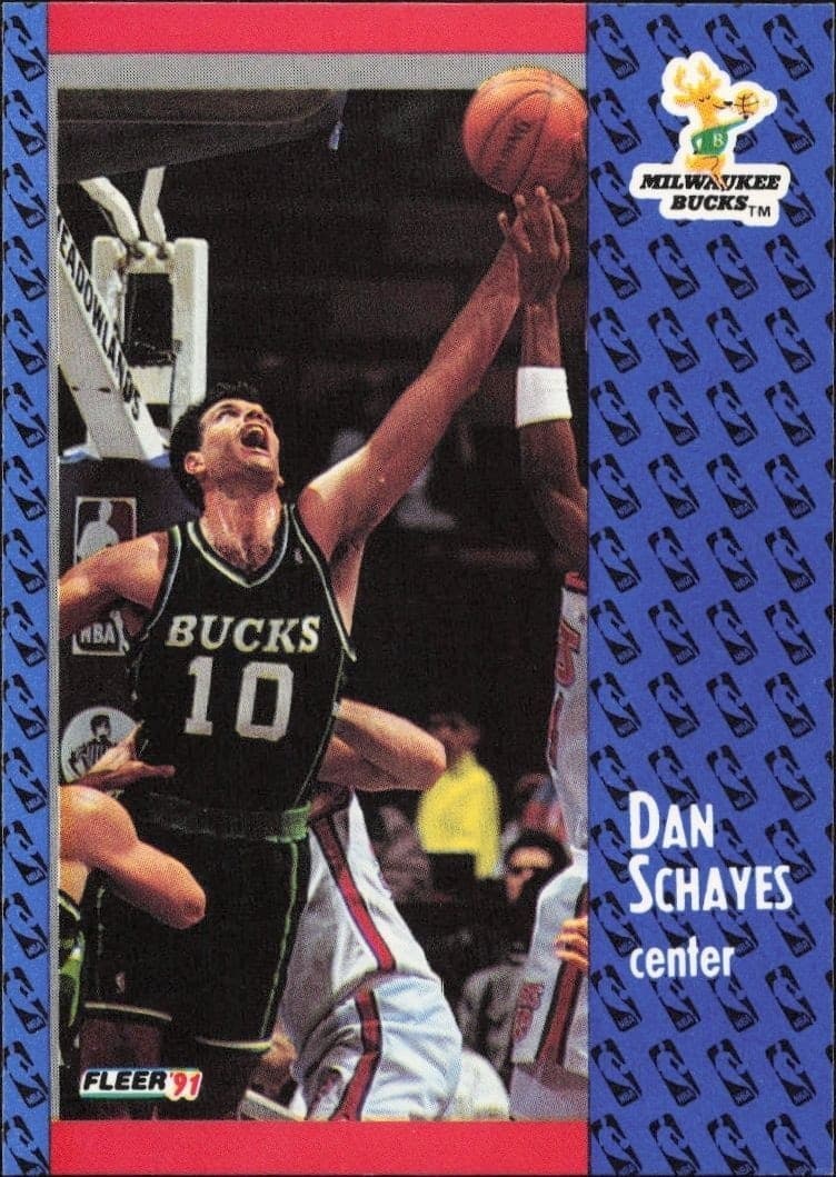 1991-92 Fleer Danny Schayes #119 basketball trading card front