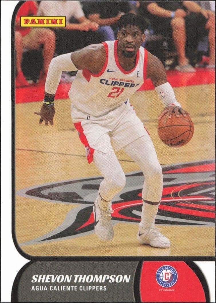 2021-22 Panini NBA G League Shevon Thompson #6 trading card