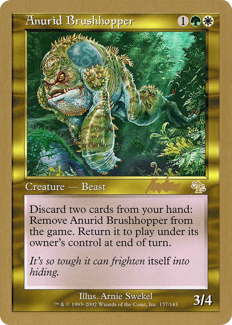 Anurid Brushhopper - Image 1