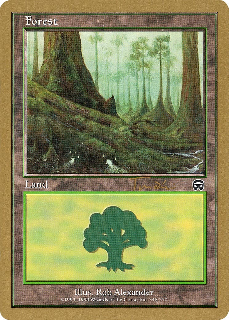 Forest - Image 1