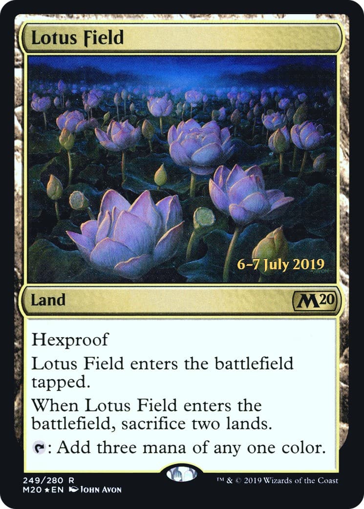 Lotus Field - Image 1