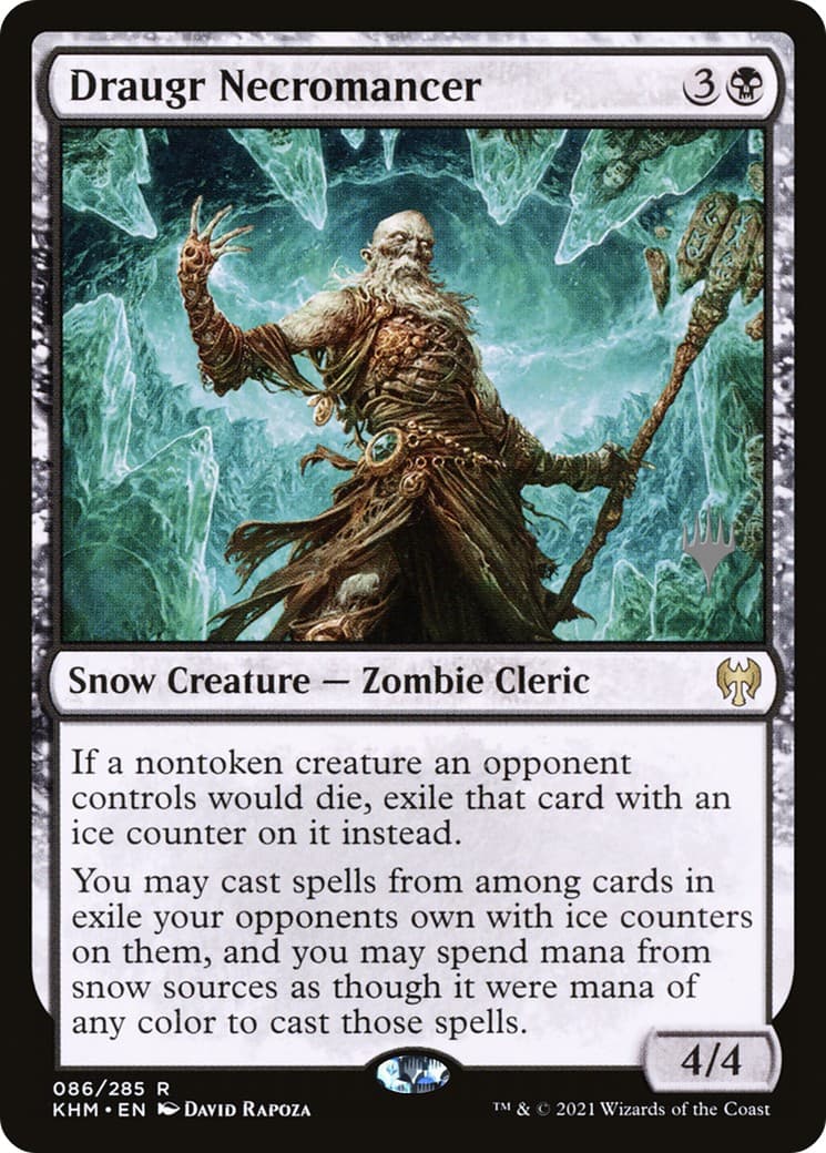 Draugr Necromancer - Image 1
