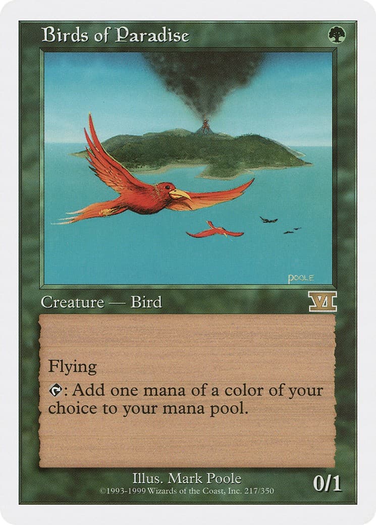 Birds of Paradise - Image 1