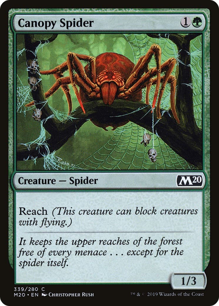 Canopy Spider - Image 1