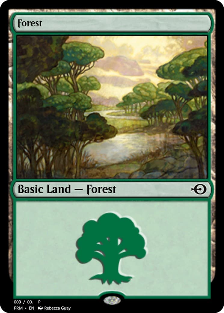 Forest - Image 1