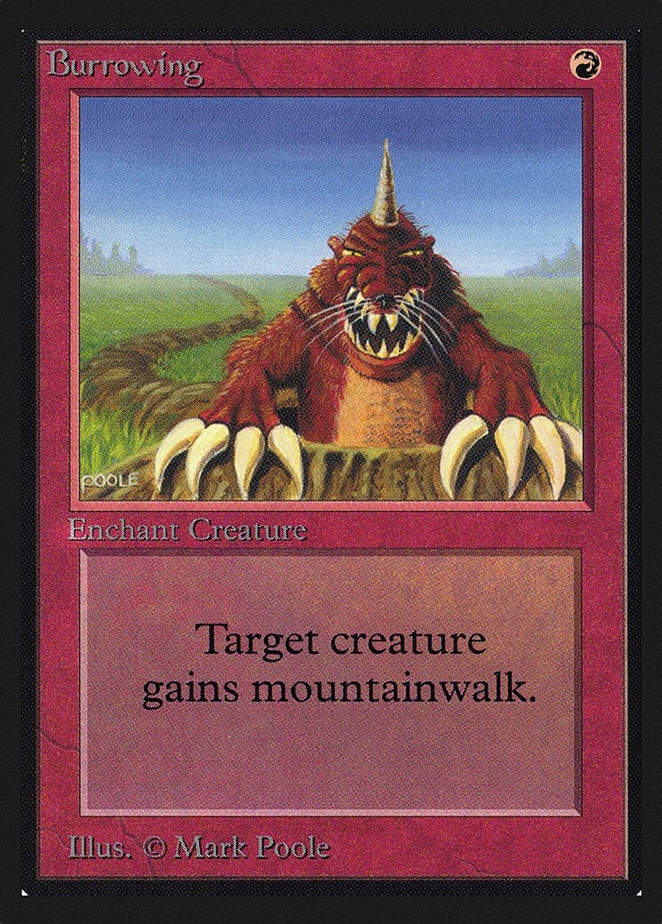 Burrowing - Image 1