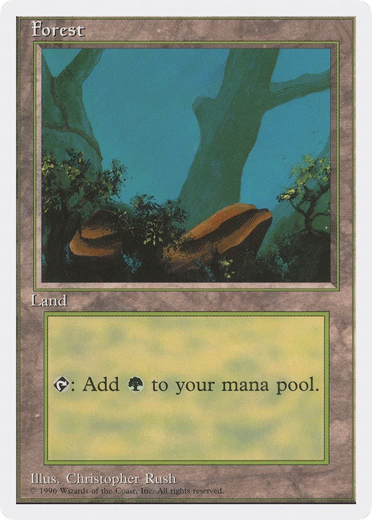 Forest - Image 1