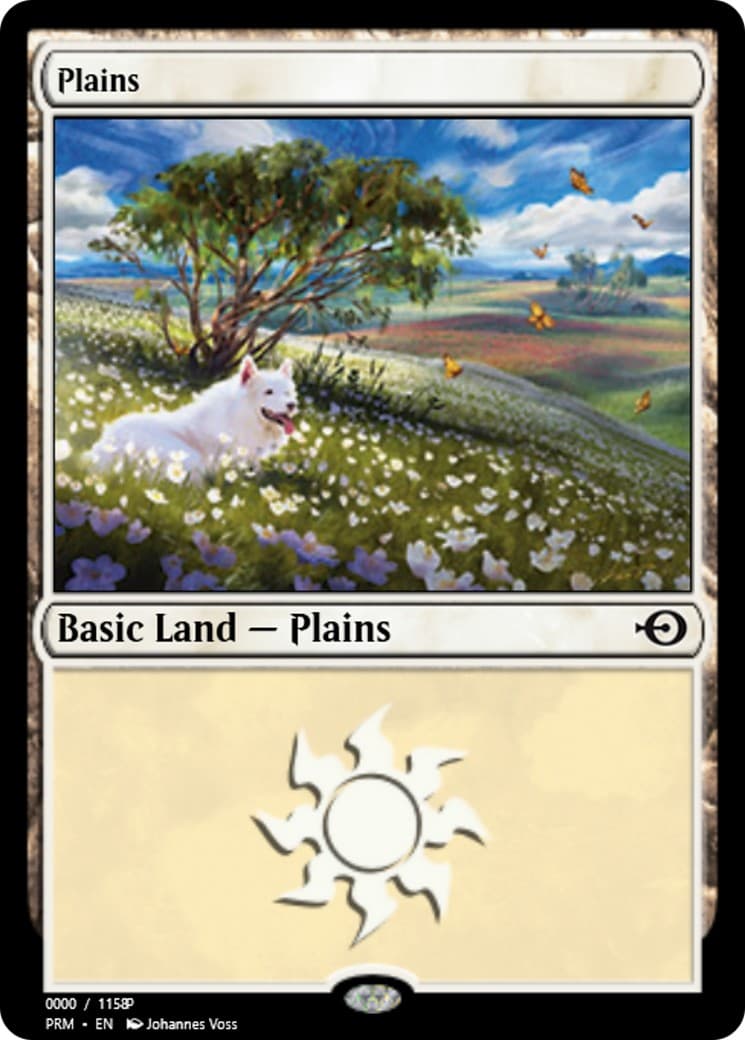 Plains - Image 1