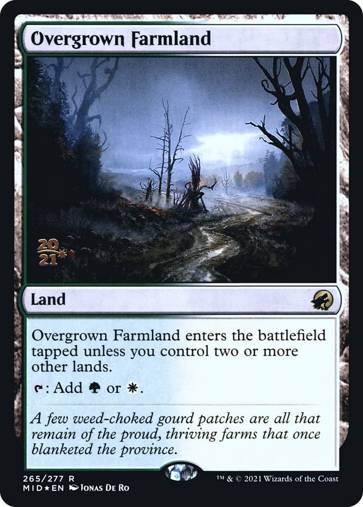 Overgrown Farmland - Image 1