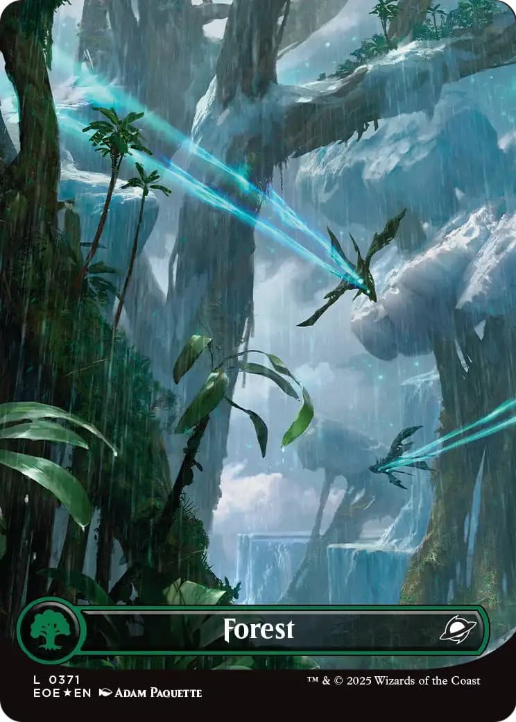 Forest - Image 1
