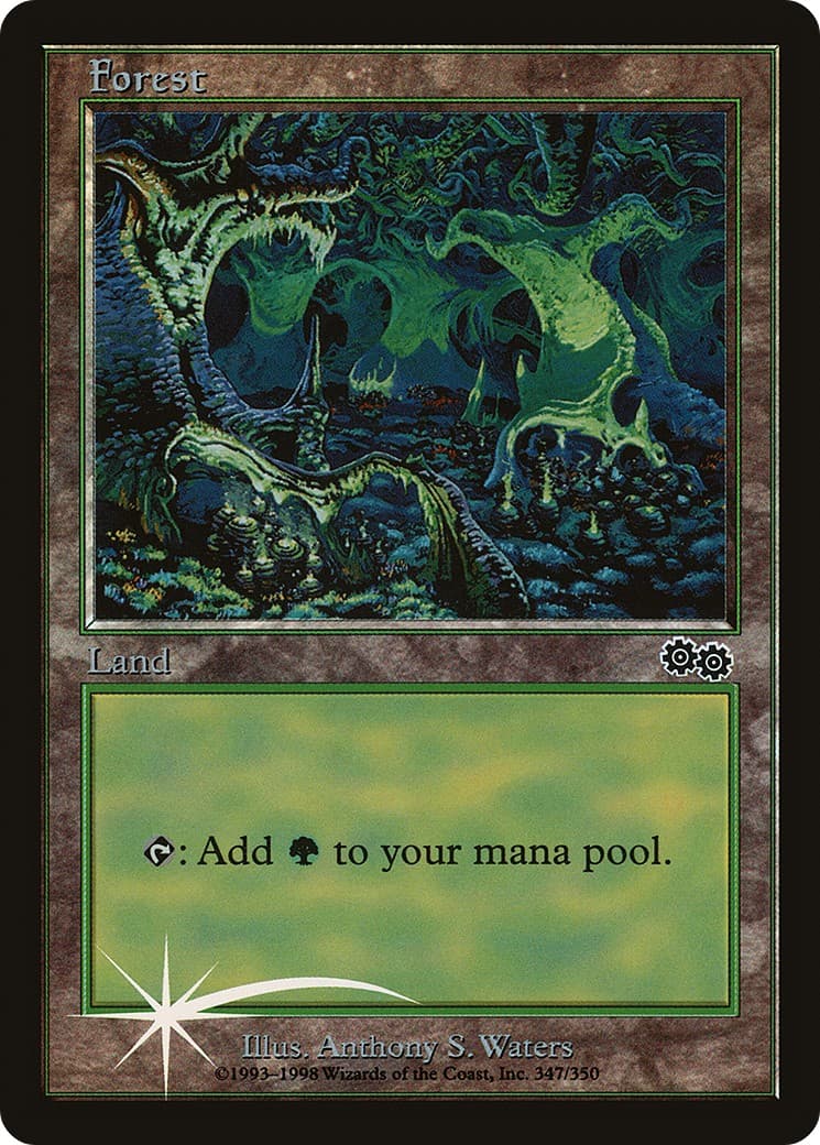 Forest - Image 1