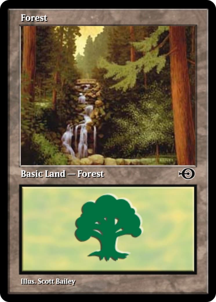 Forest - Image 1