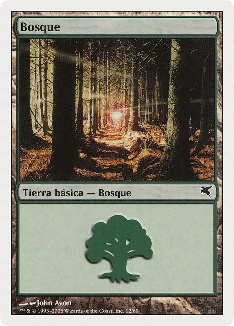 Forest - Image 1