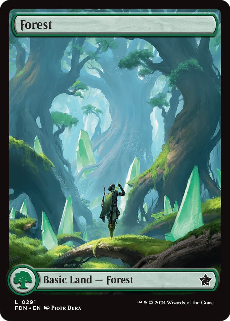Forest - Image 1
