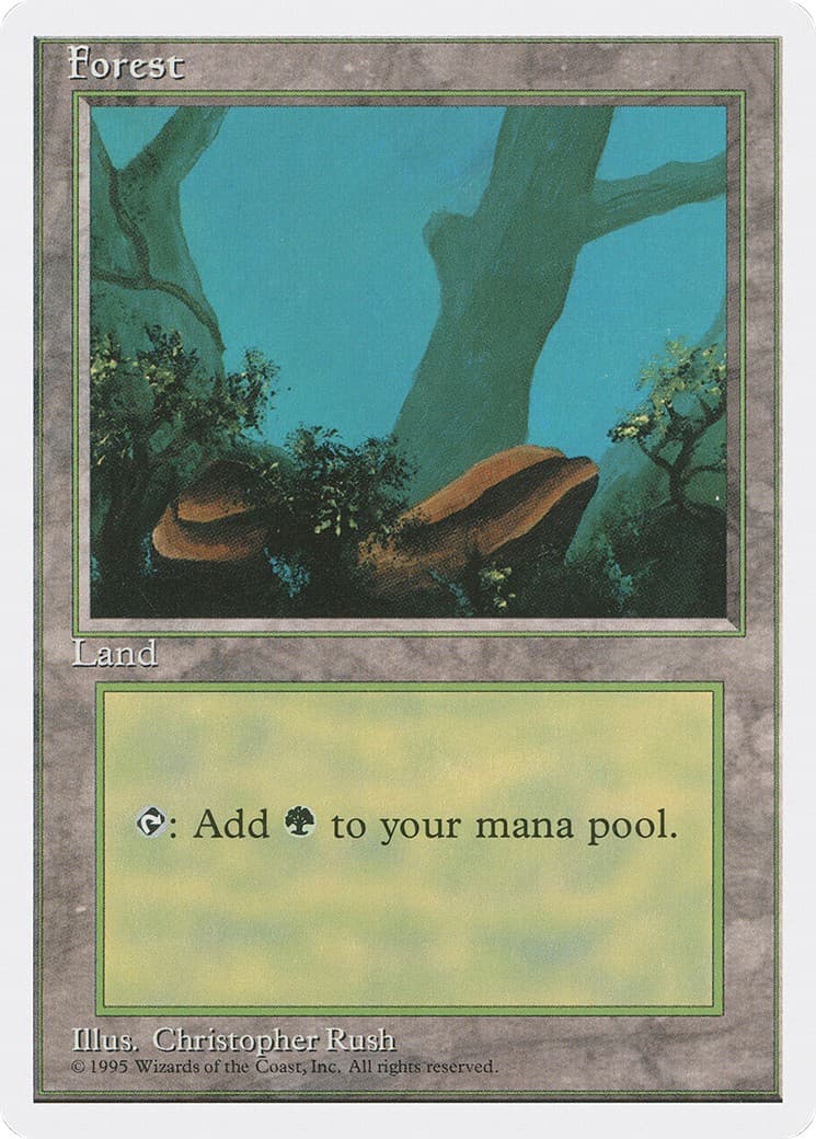 Forest - Image 1