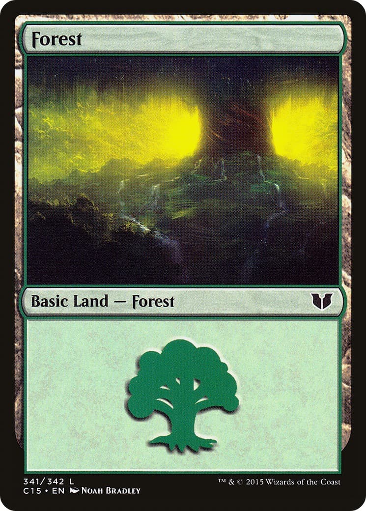 Forest - Image 1