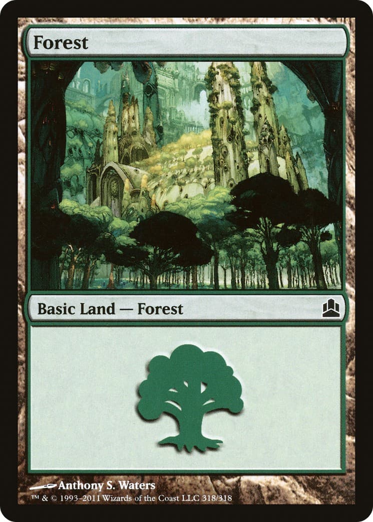 Forest - Image 1