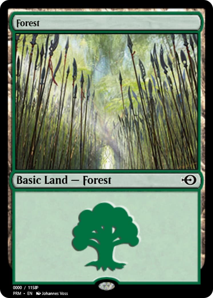 Forest - Image 1