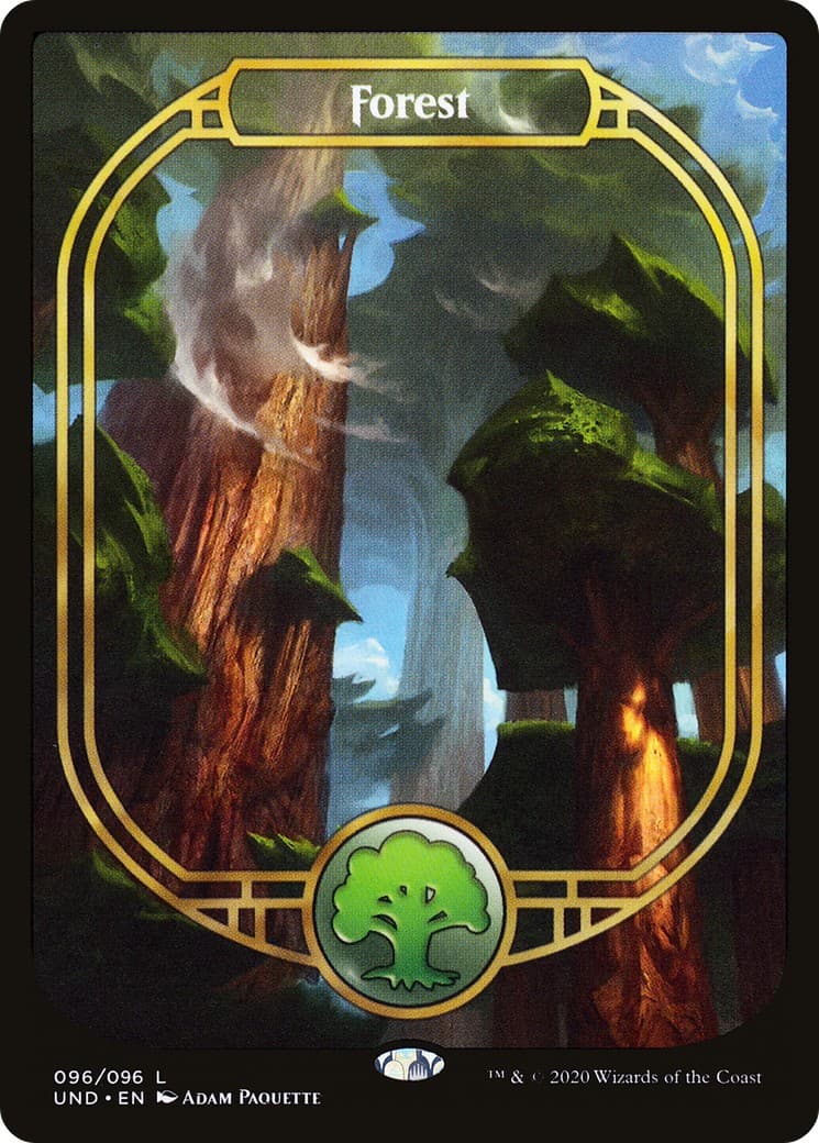 Forest - Image 1