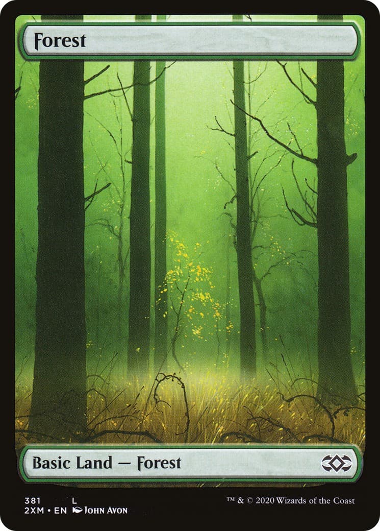 Forest - Image 1