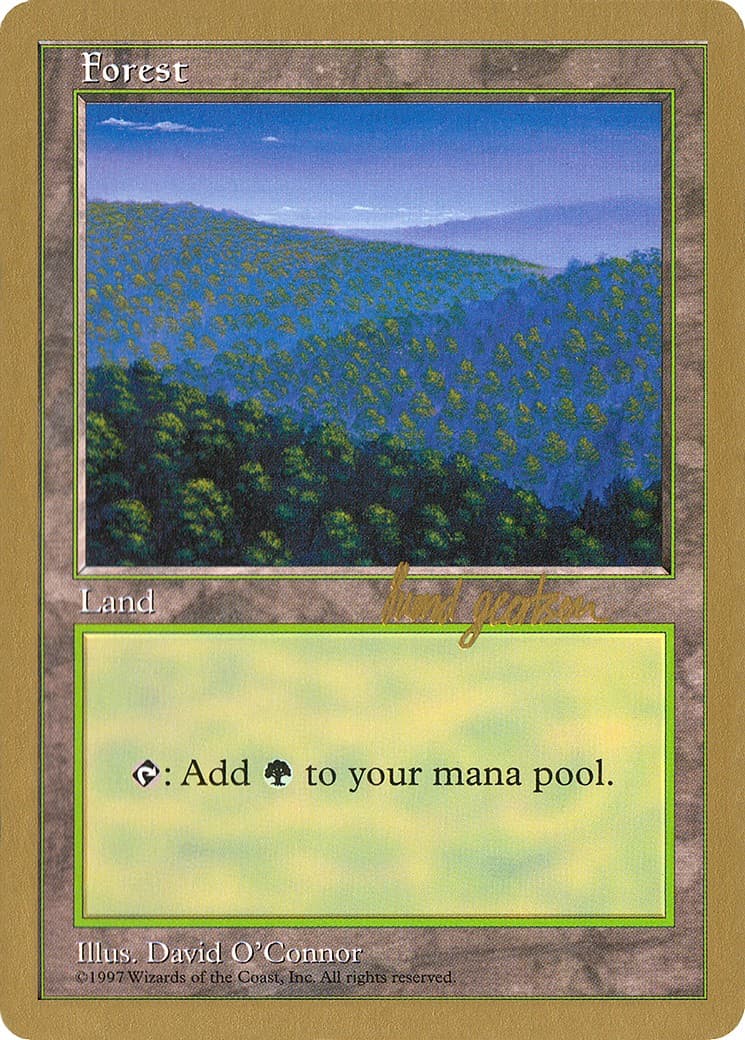 Forest - Image 1