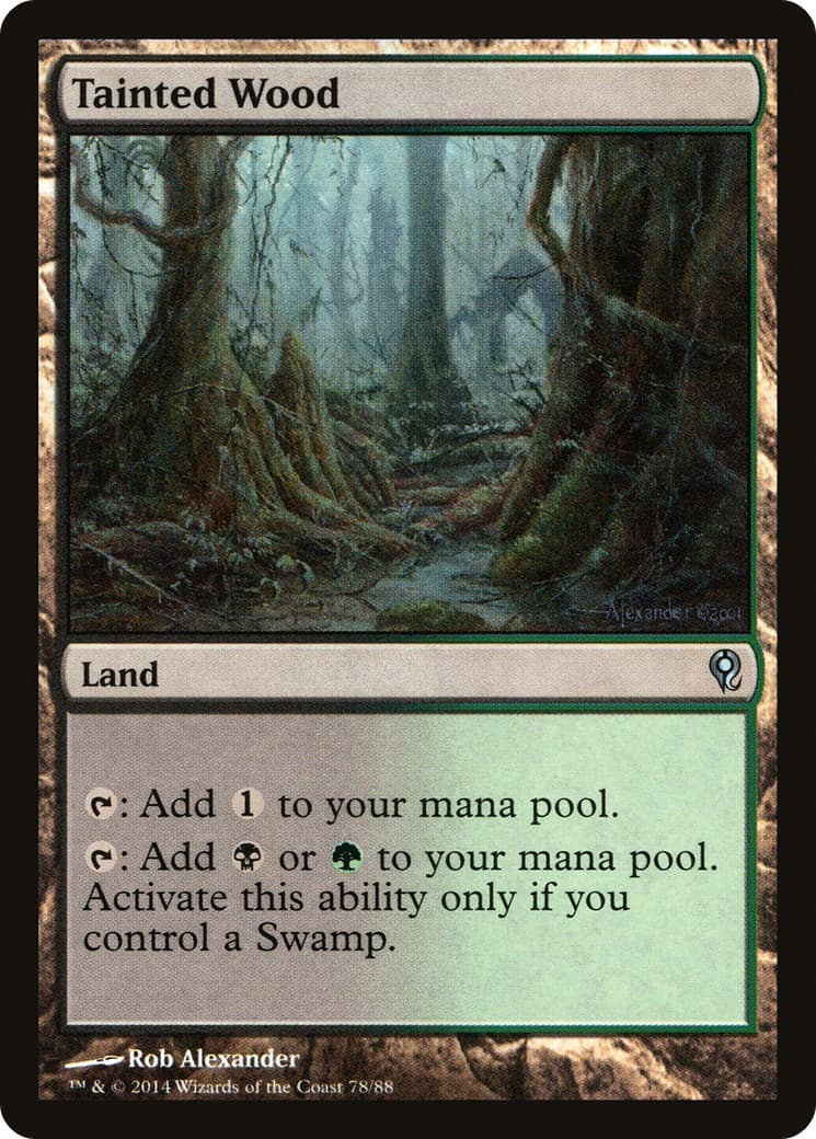 Tainted Wood - Image 1