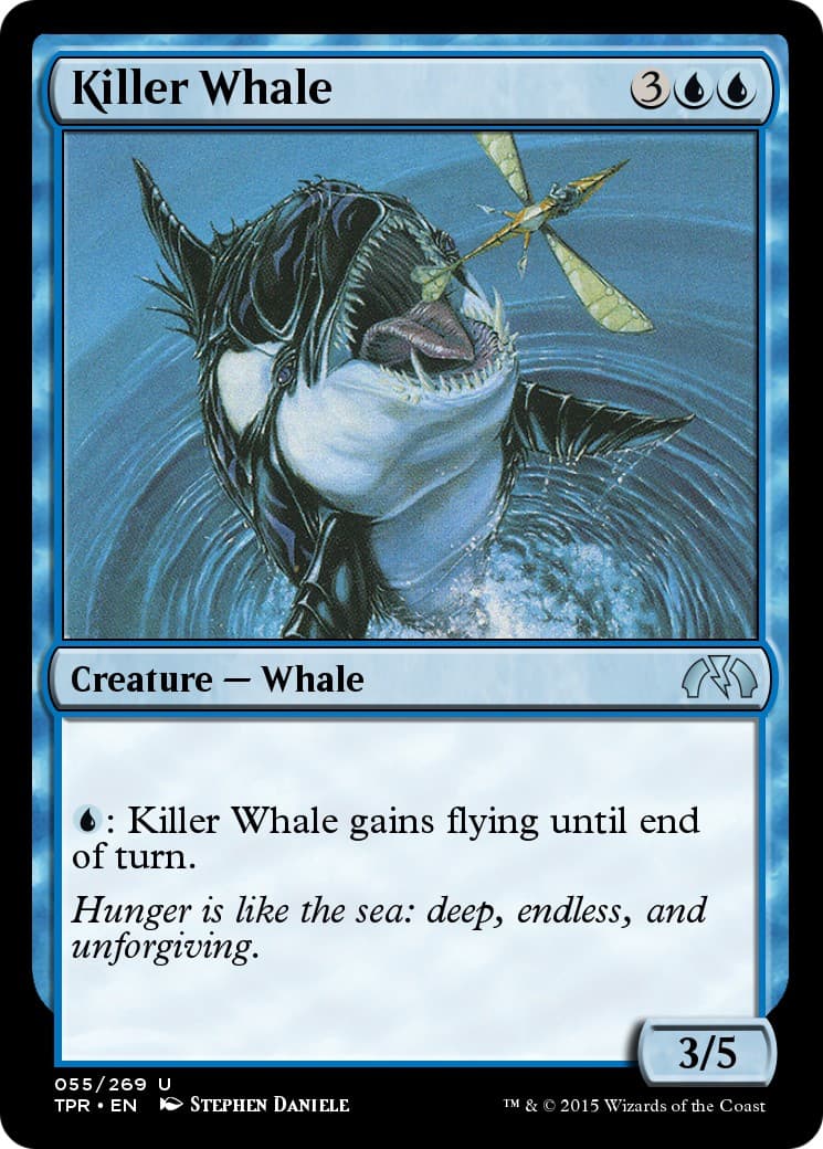 Killer Whale - Image 1