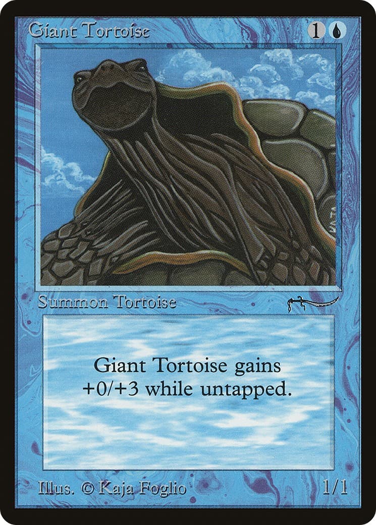 Giant Tortoise - Image 1