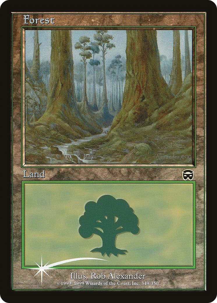 Forest - Image 1