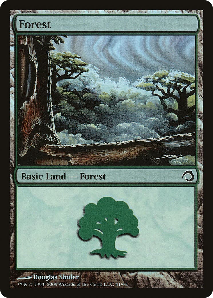 Forest - Image 1