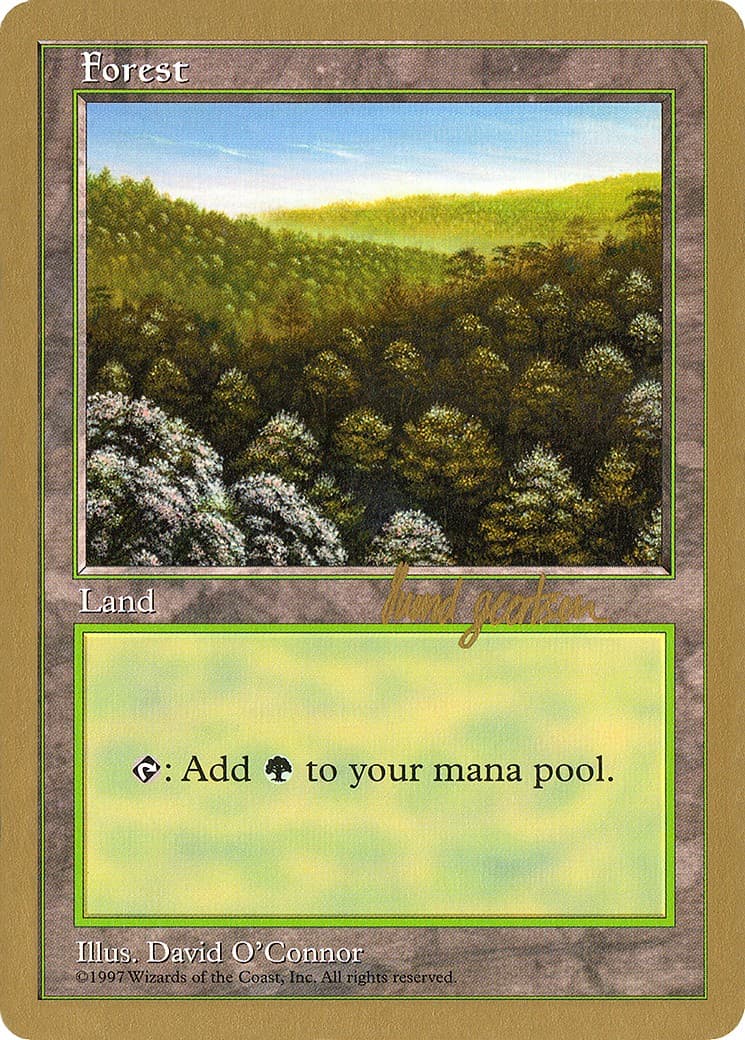 Forest - Image 1