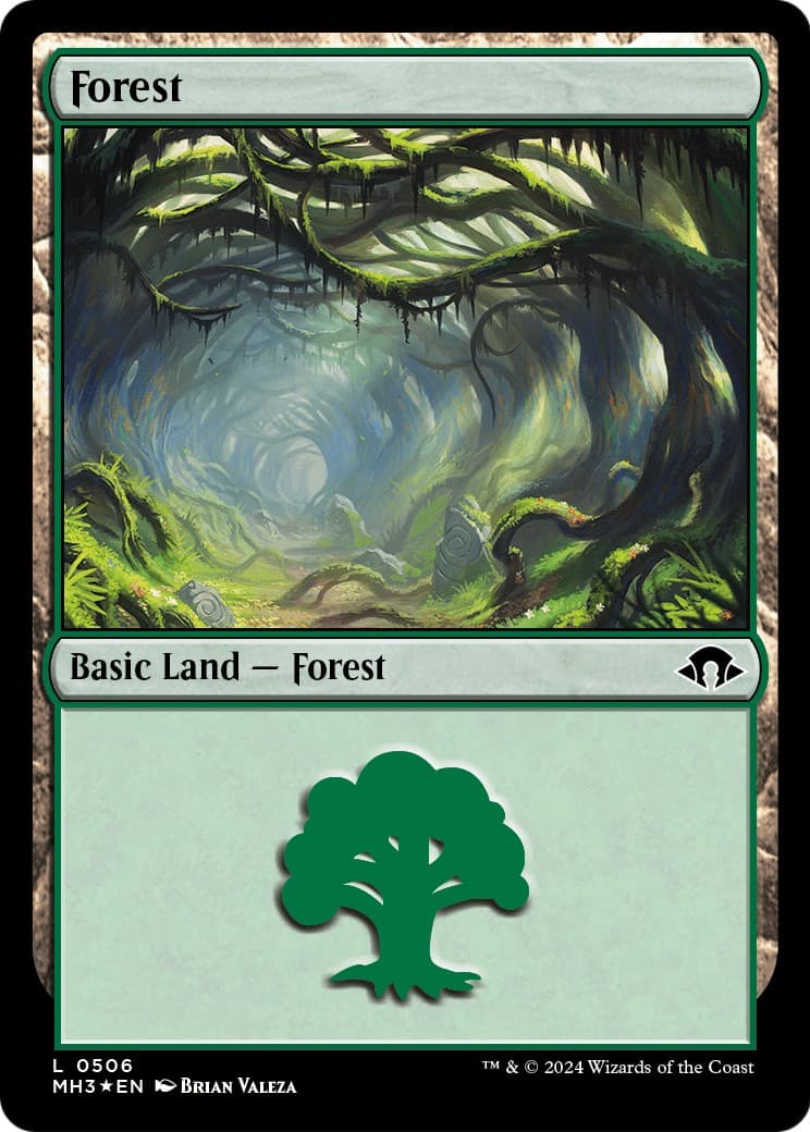 Forest - Image 1
