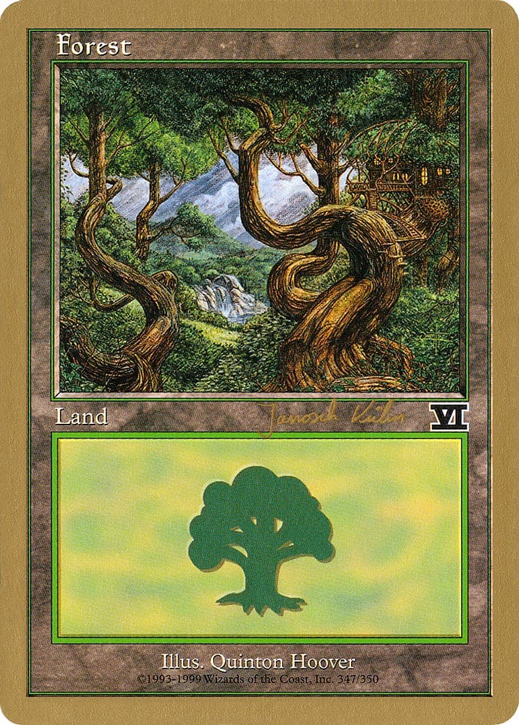 Forest - Image 1
