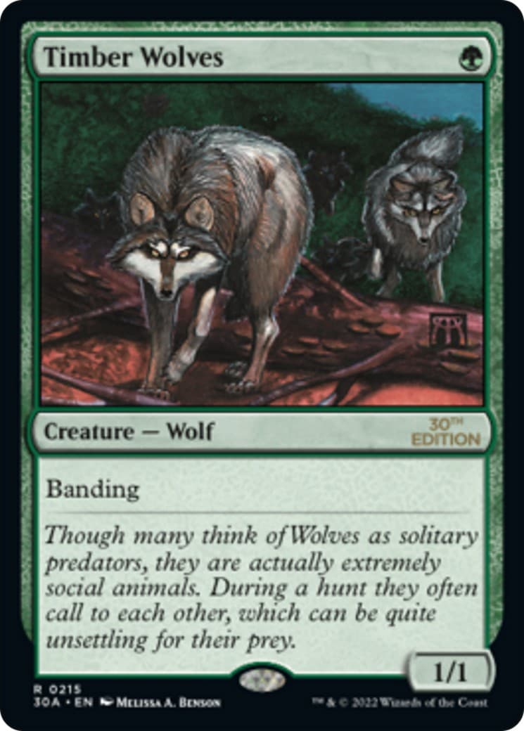 Timber Wolves - Image 1