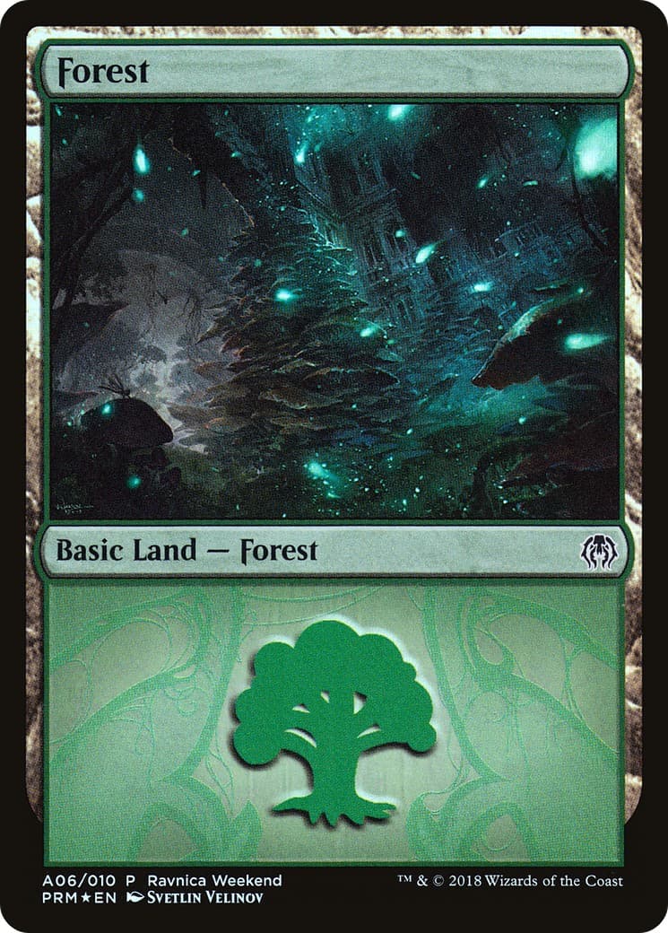 Forest - Image 1