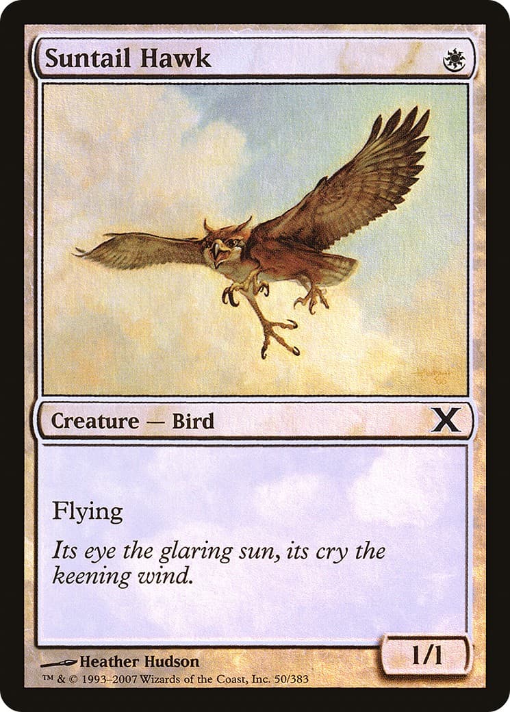 Suntail Hawk - Image 1