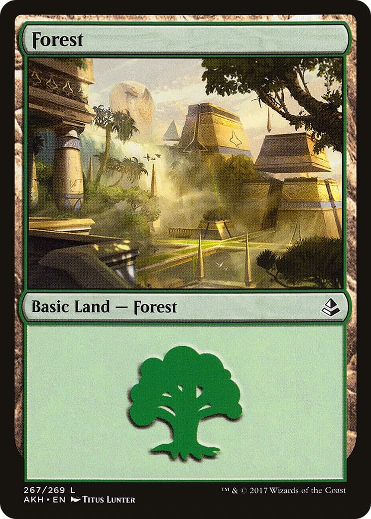 Forest - Image 1