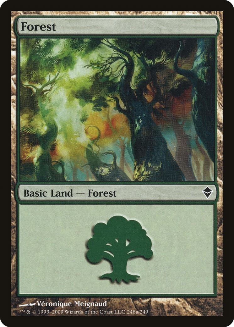 Forest - Image 1