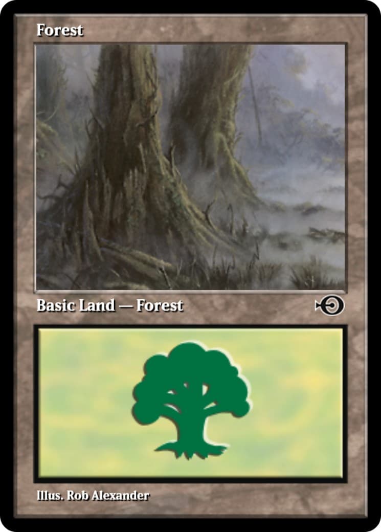 Forest - Image 1