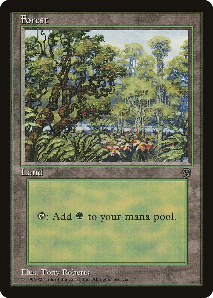 Forest - Image 1