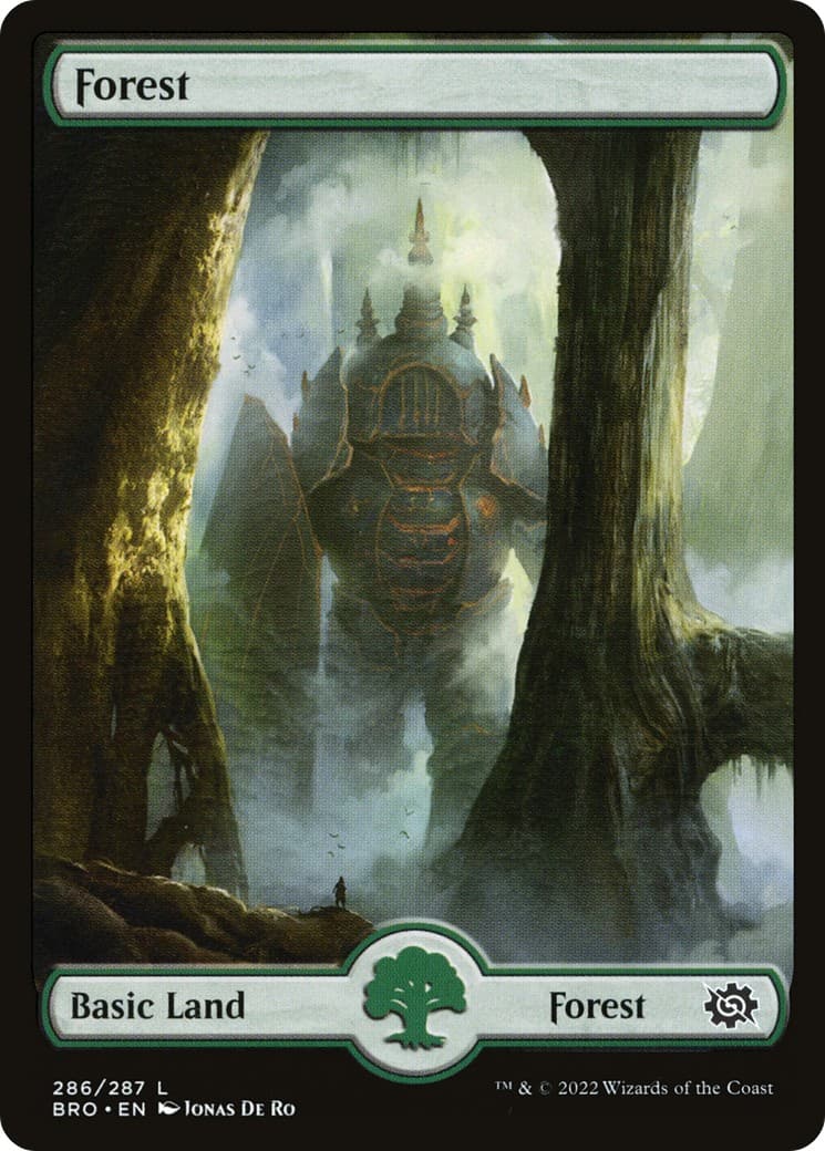 Forest - Image 1