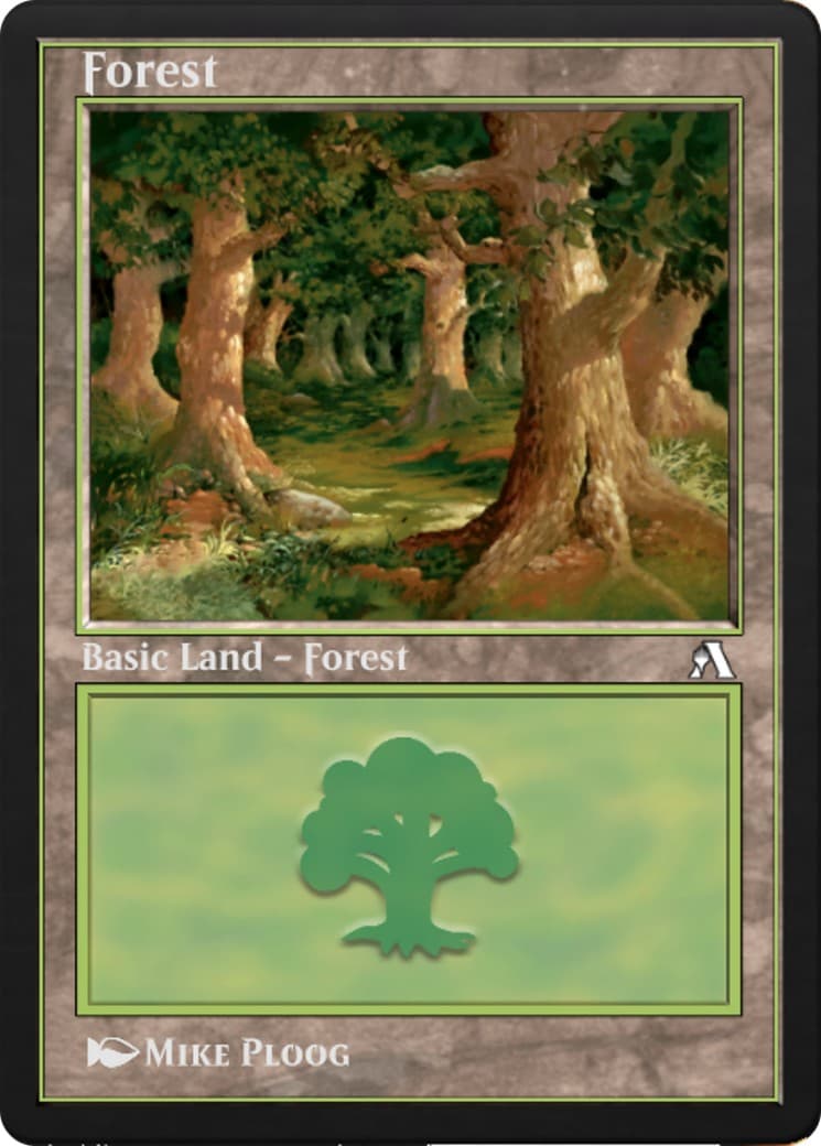 Forest - Image 1