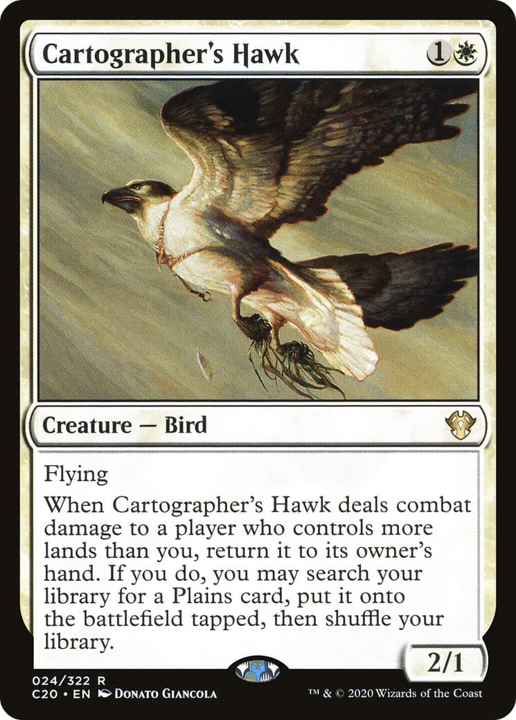 Cartographer's Hawk - Image 1