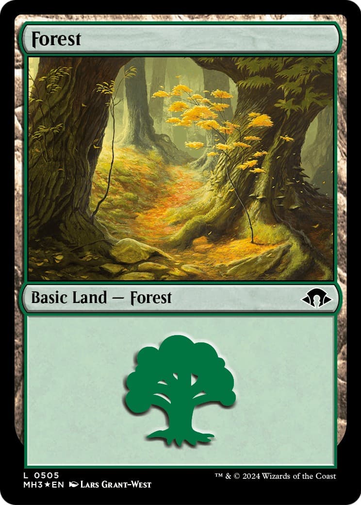 Forest - Image 1