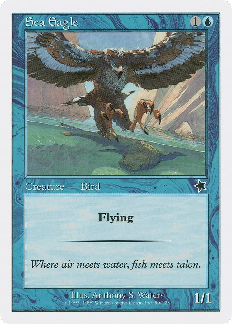 Sea Eagle - Image 1