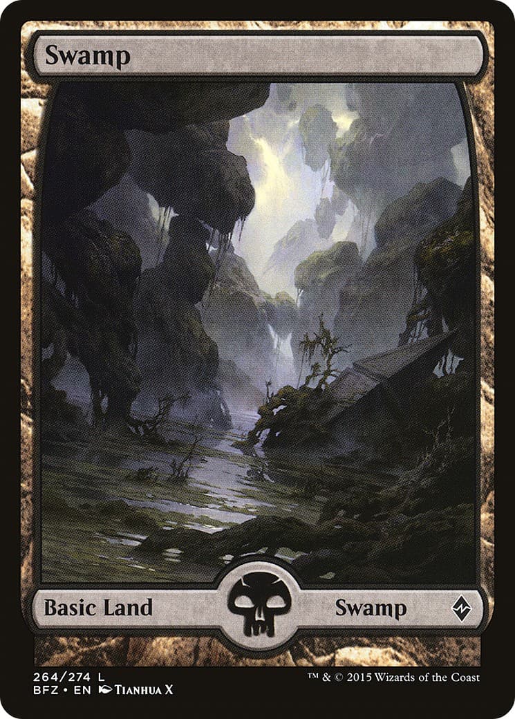 Swamp - Image 1