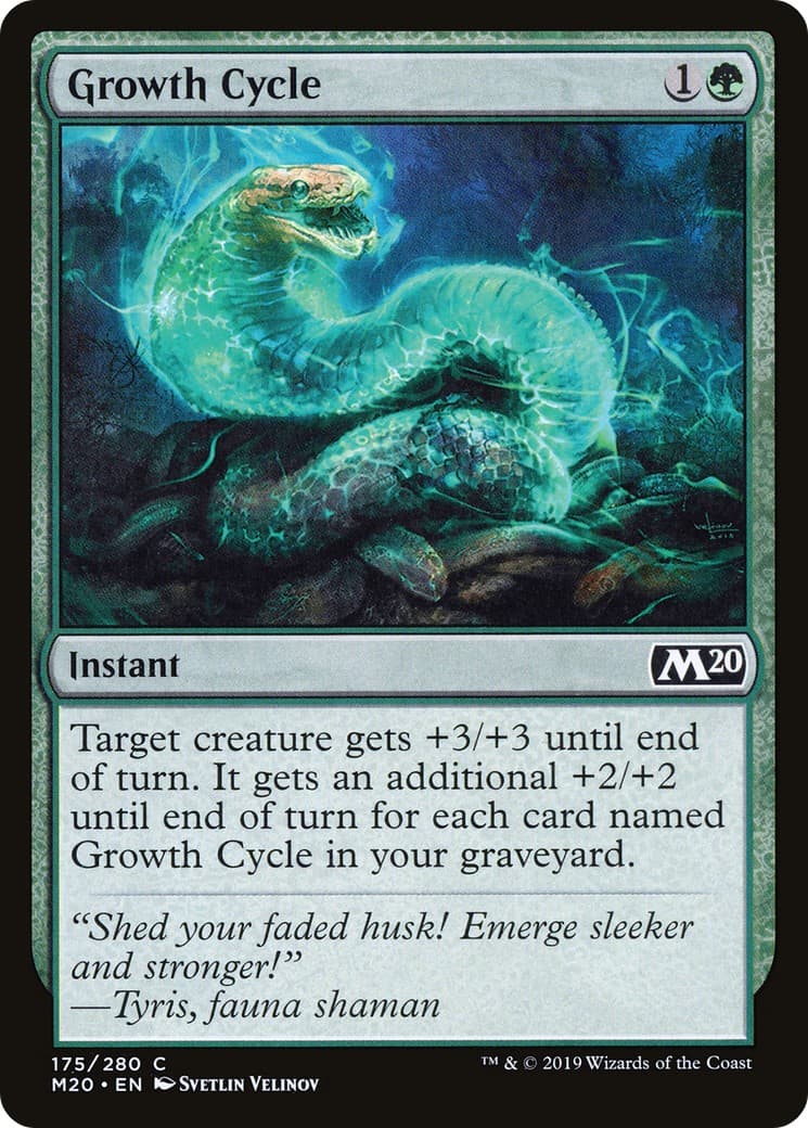 Growth Cycle - Image 1