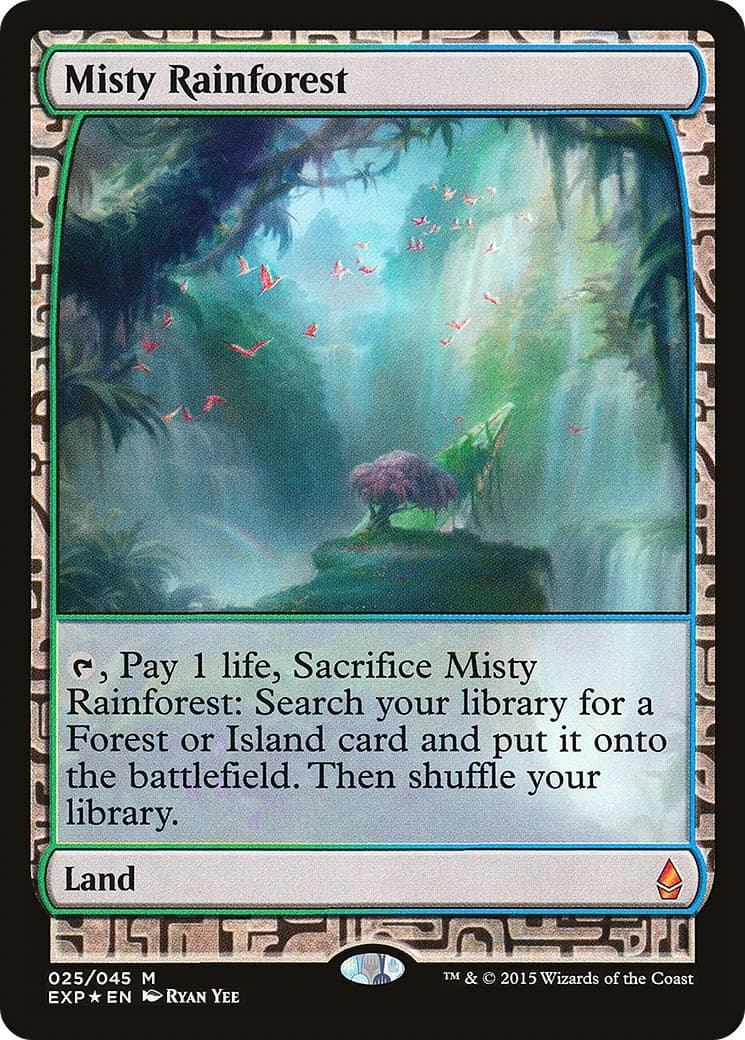 Misty Rainforest - Image 1