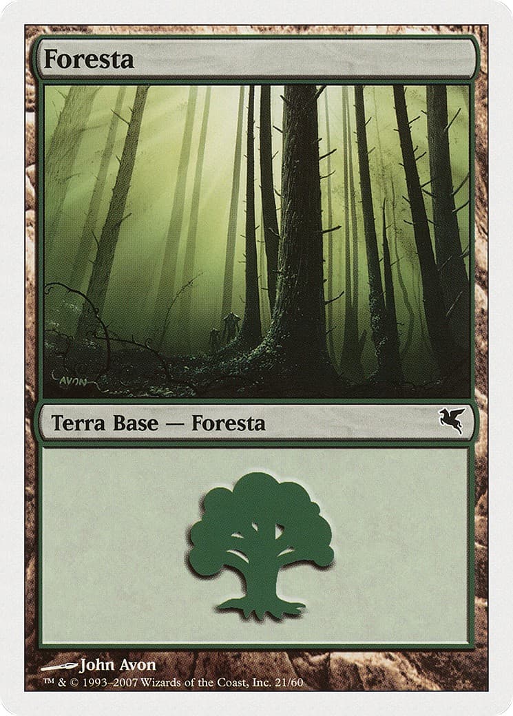 Forest - Image 1